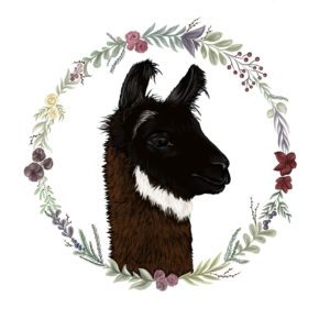 Tierpatenschaft für Lama Gandalf.