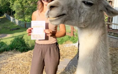 Tiergestützte Intervention