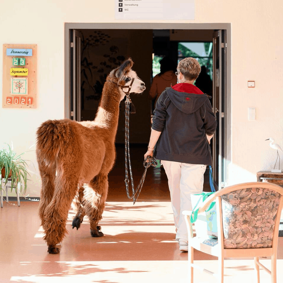 Tiergestützte Therapie_2