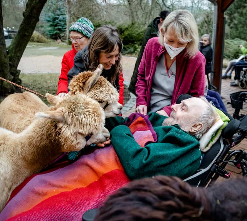 Alpakafarm Thüringen "Alpakas vom Roten Berg" für Kindergeburtstag