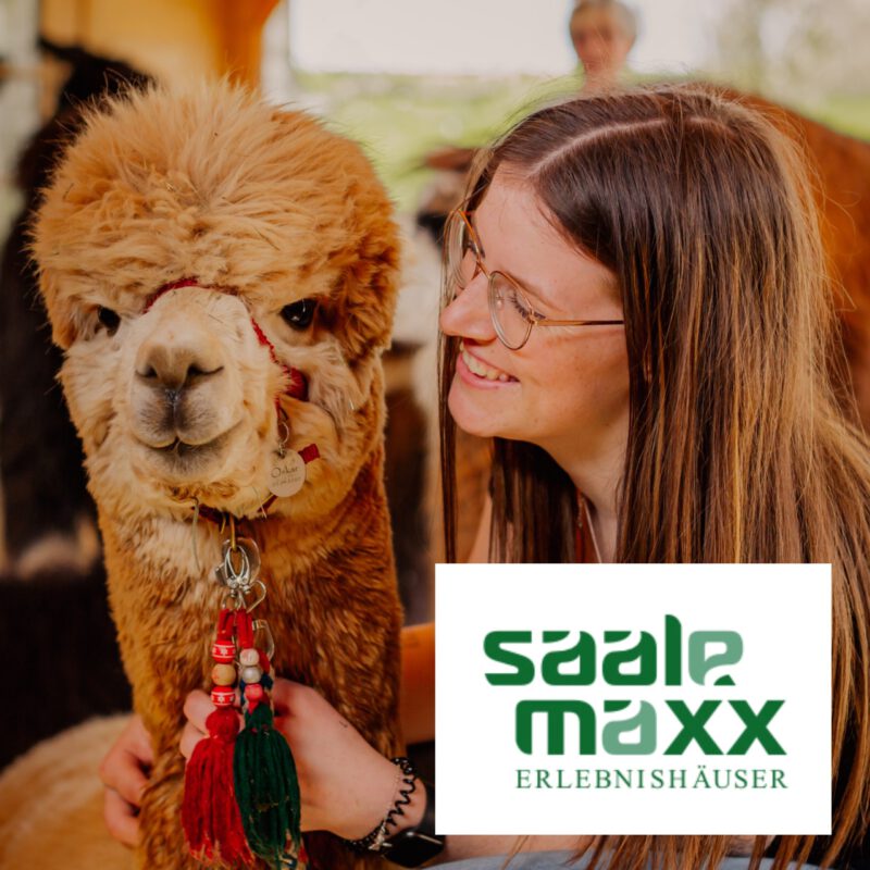 22.11.2023 - 10:00 Uhr - Alpakaspaziergang Saalemaxx