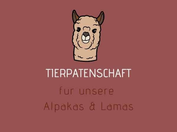 Tierpatenschaft Alpaka / Lama