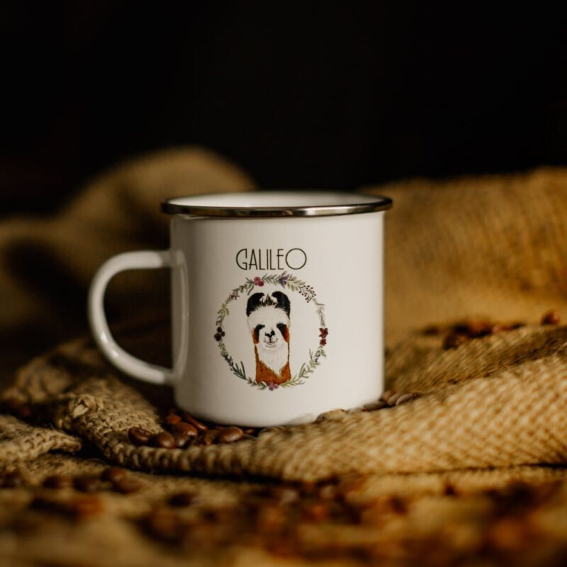 Lamatasse GALILEO & GANDALF – Bild 2