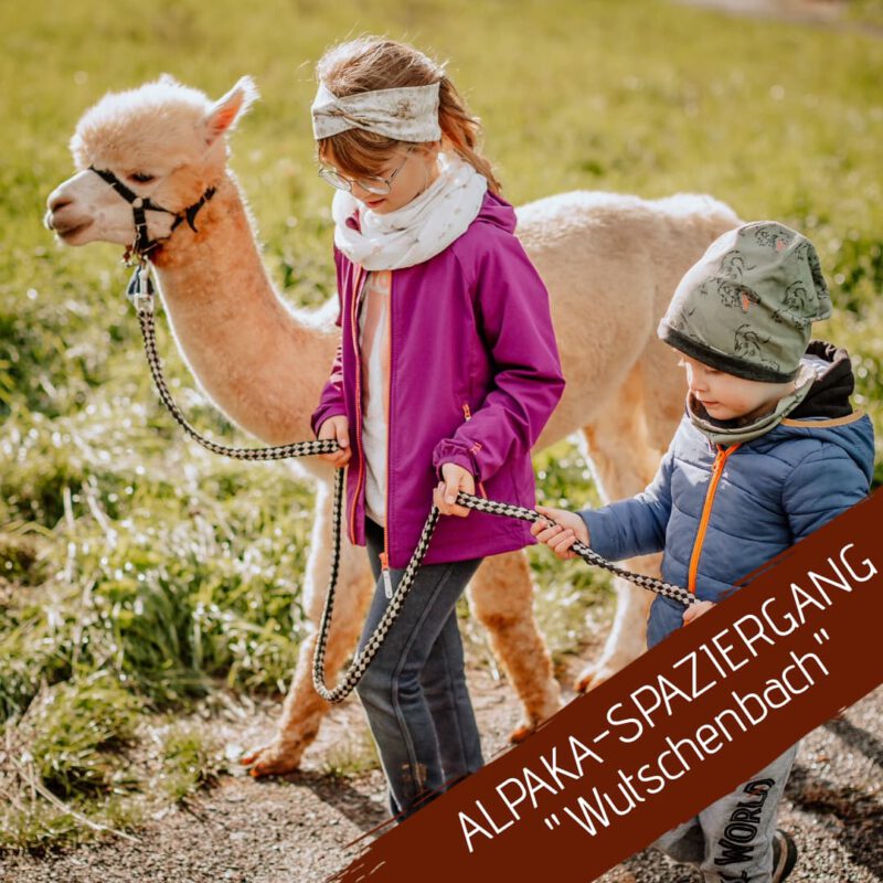 29.03.2025 - 14:00 Uhr - Alpakaspaziergang Wutschenbach
