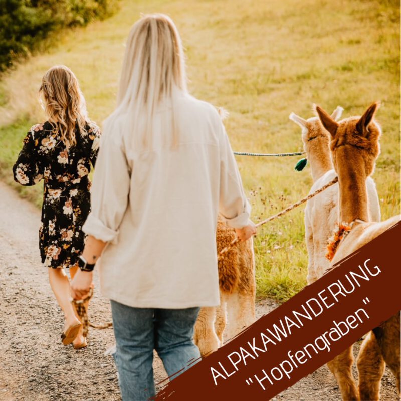 27.10.2024 - 14:00 Uhr - Alpakawanderung Hopfengraben
