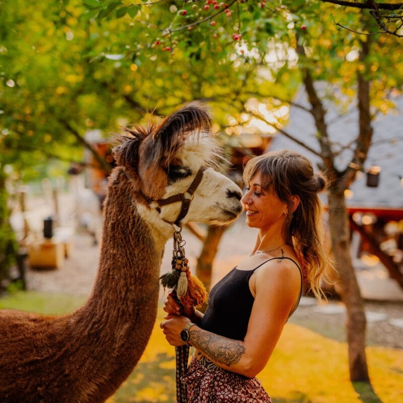 Alpaka-Event Fotoshooting