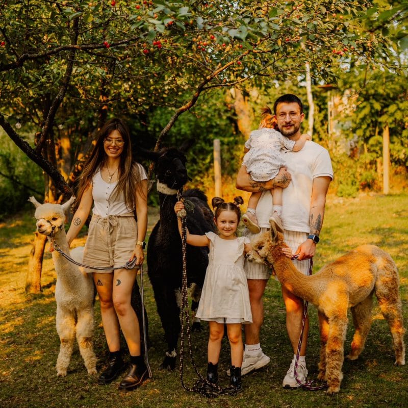 Alpaka-Fotowanderung