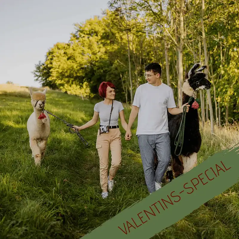 Special Avent Valentinstag