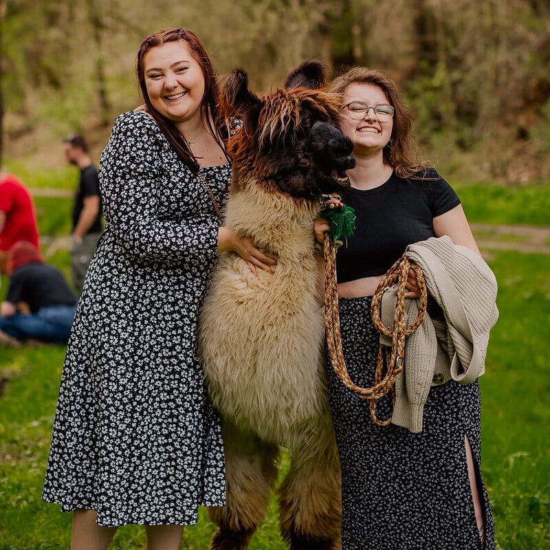 Special Events: Alpaka-Event Frauentag