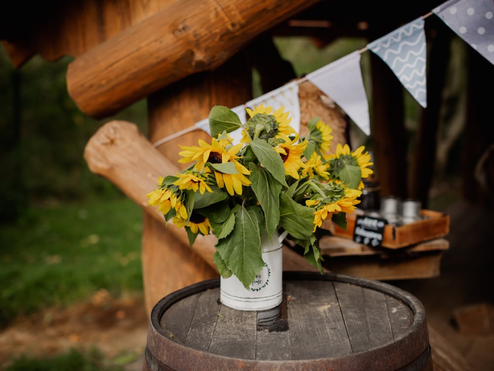 18.04.2026 - 14:00 Uhr - Alpaka-Kräuterwanderung – Bild 7